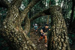 BIB: 
                            <button type="button" onclick="openModal(25392806)" class="btn btn-primary btn-sm float-right btn-popup" data-toggle="modal" data-target=".modal-high-quality">
                        <i class="fas fa-shopping-cart"></i> Add to Cart
                    </button>
                                            <button type="button" onclick="isThisMe(25392806, true)" class="btn btn-success btn-sm float-right btn-popup btn-isme hidden" data-toggle="tooltip" data-placement="bottom" title="นี่คือรูปของคุณใช่ไหม คลิกที่นี่เพื่อเอาเข้าอัลบั้ม">
                        <i class="fas fa-plus"></i> Add to album
                    </button>
                    <button type="button" onclick="isThisMe(25392806, false)" class="btn btn-warning btn-sm float-right btn-popup btn-isnotme hidden">
                        <i class="fas fa-ban"></i> Remove from album
                    </button>